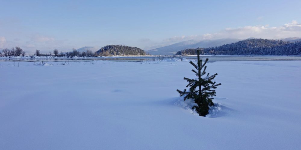 PRAVLJICA PO OBILNEM SNEŽENJU