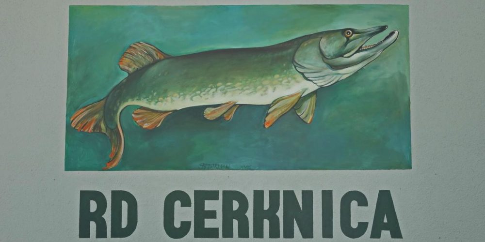 OBČNI ZBOR RD CERKNICA
