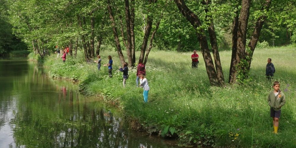 NEDELJSKO POPOLDNE Z MLADINSKO SEKCIJO