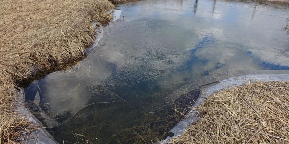 MARČEVSKO JEZERO