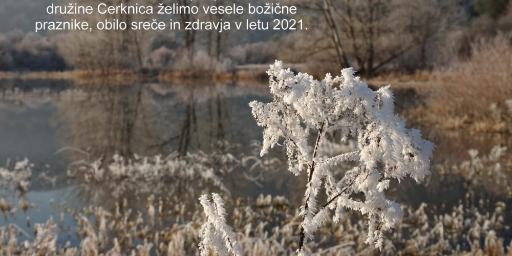 VOŠČILO