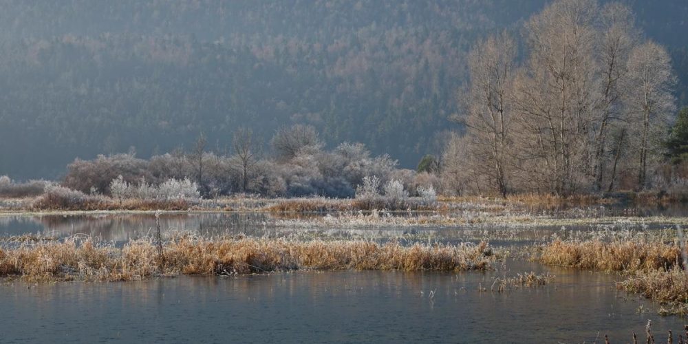 JEZERO  ŽE POMALO POMRZNILO