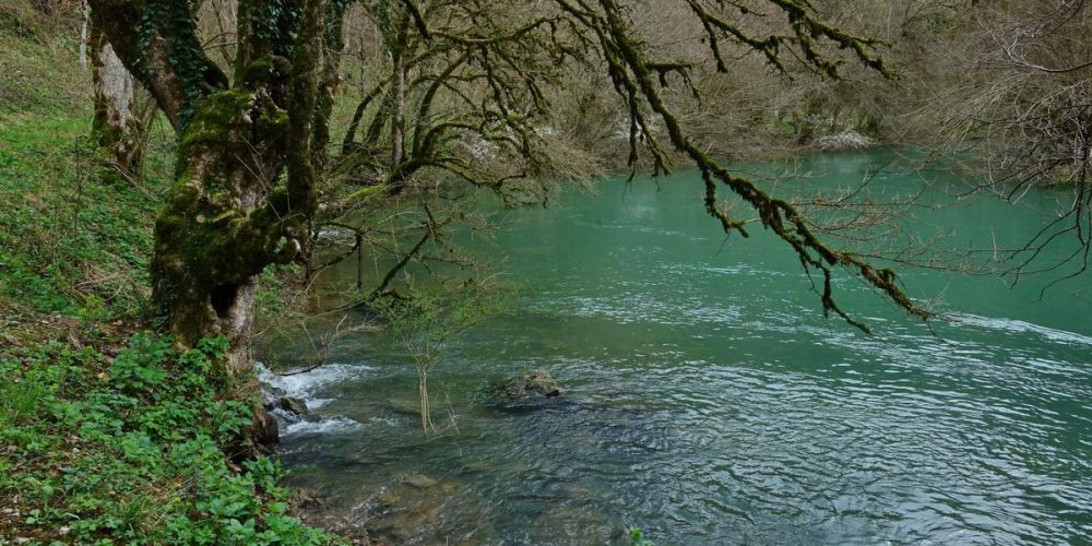 POT IZVIROV – GORENJE JEZERO