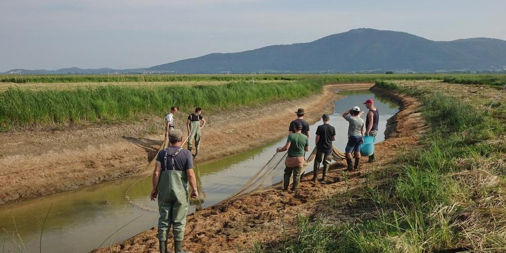 OBVESTILO