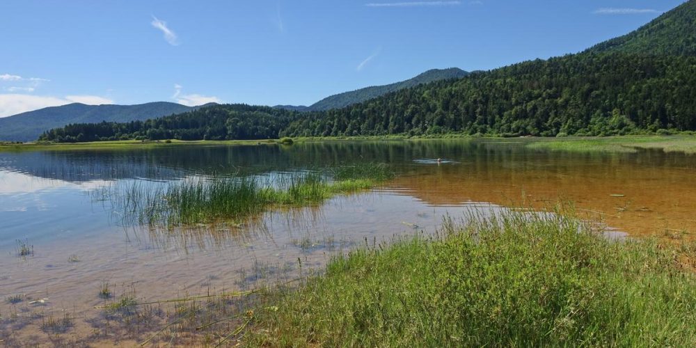 JEZERO PRIMERNO ZA KOPANJE IN RIBOLOV