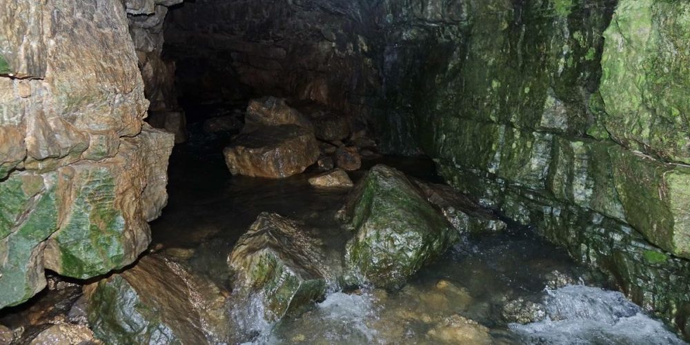 PREPOTREBEN DEŽ ZBUDIL BRUHALNIKE IN IZVIRE