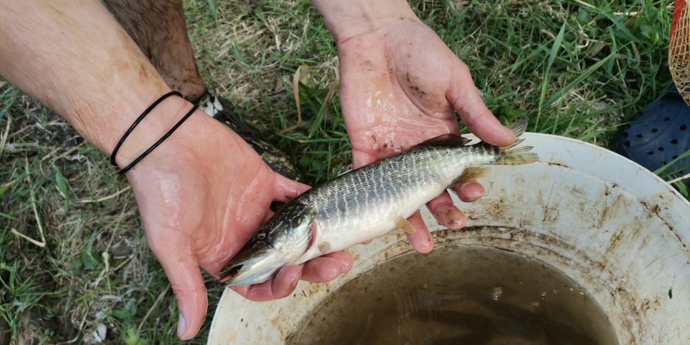 JEZERO ZAČELO PRESIHATI