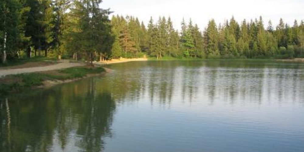Sanitation of the Lake Bloke