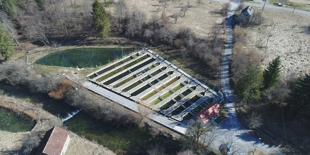 VABILO  na mistično delavnico in ogled ribogojnice