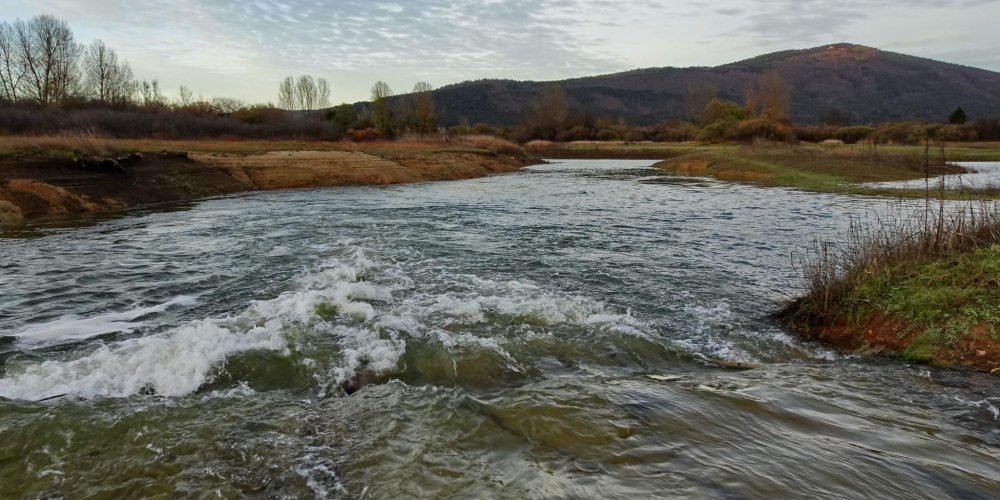 JEZERO V PORASTU