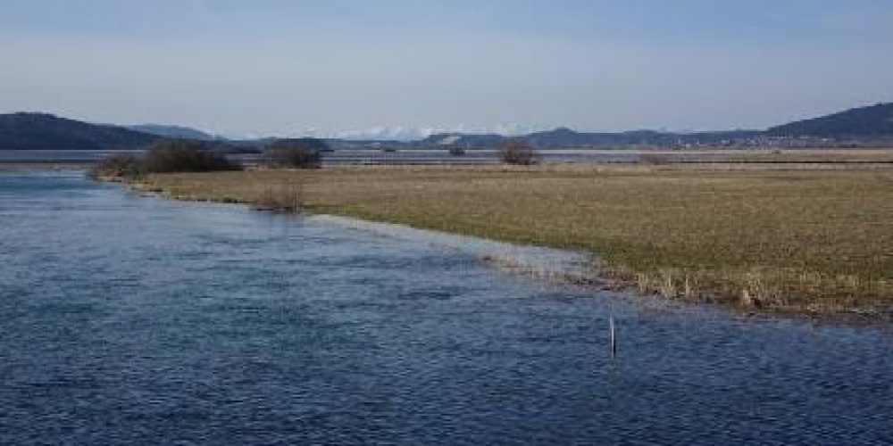 Jezero zalito