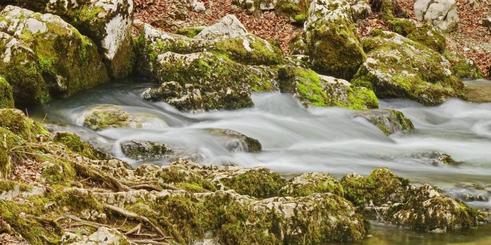 JEZERO NAPOLNJENO