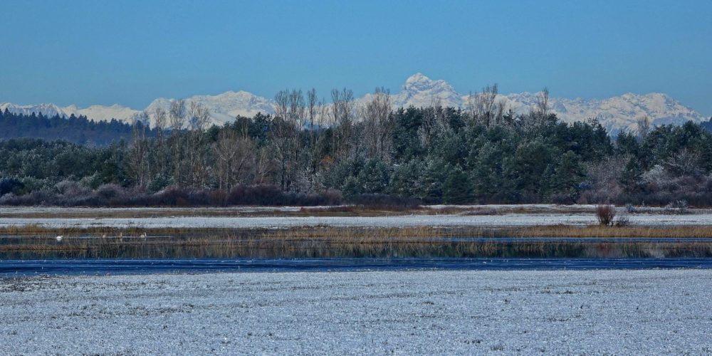 JEZERO ODETO V BELO OBLEKO