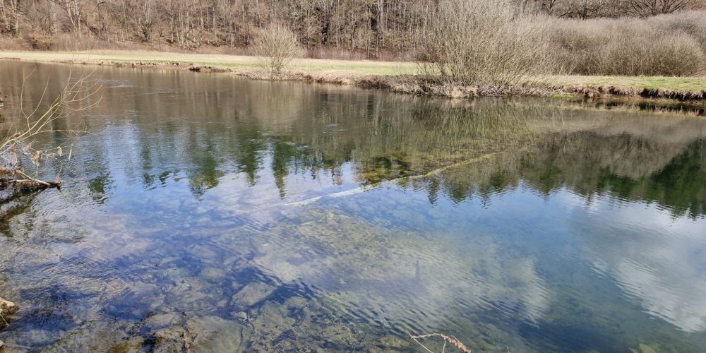 Začetek projekta za ponovno povezovanje vodotokov v porečju Ljubljanice